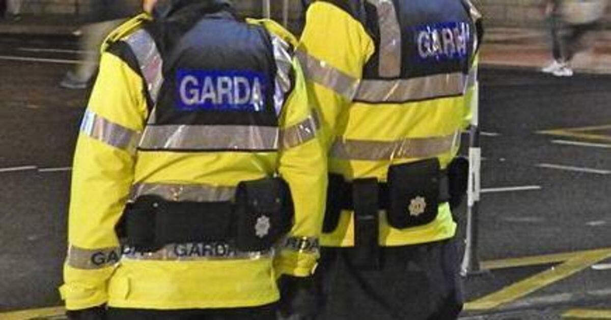 Cork to get 25 new gardaí but more called for