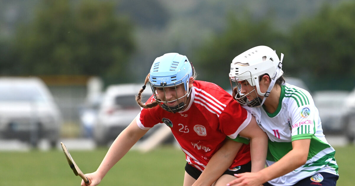Seandún see off Muskerry in 12-a-side game as Mid Cork division short on numbers