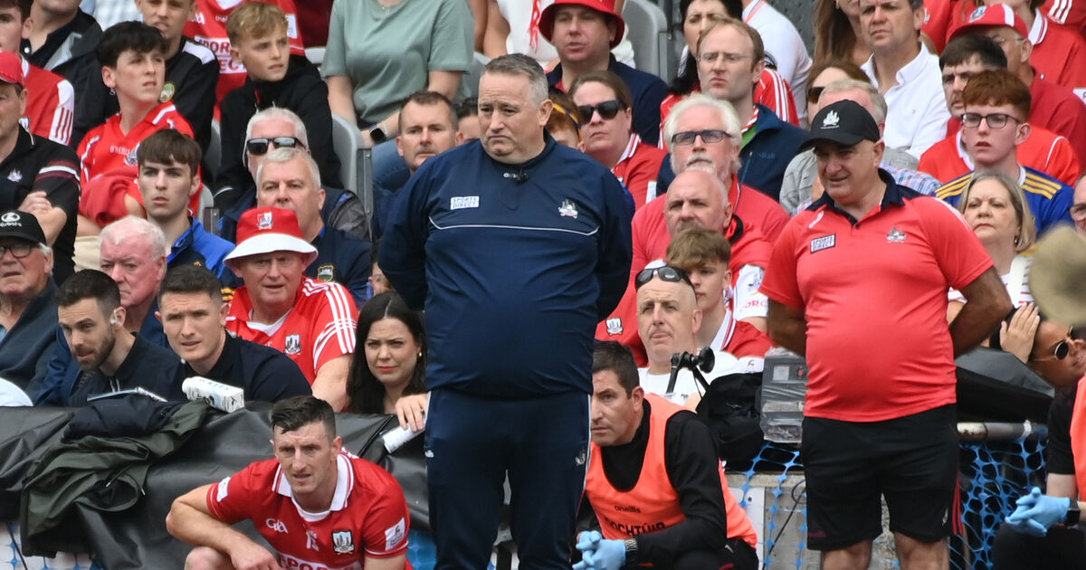 Pat Ryan not to seek re-appointment as Cork hurling manager