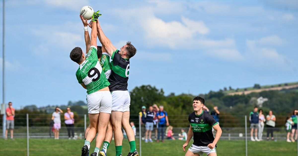 Aghabullogue in strong position after Luke Casey goal sees off Nemo