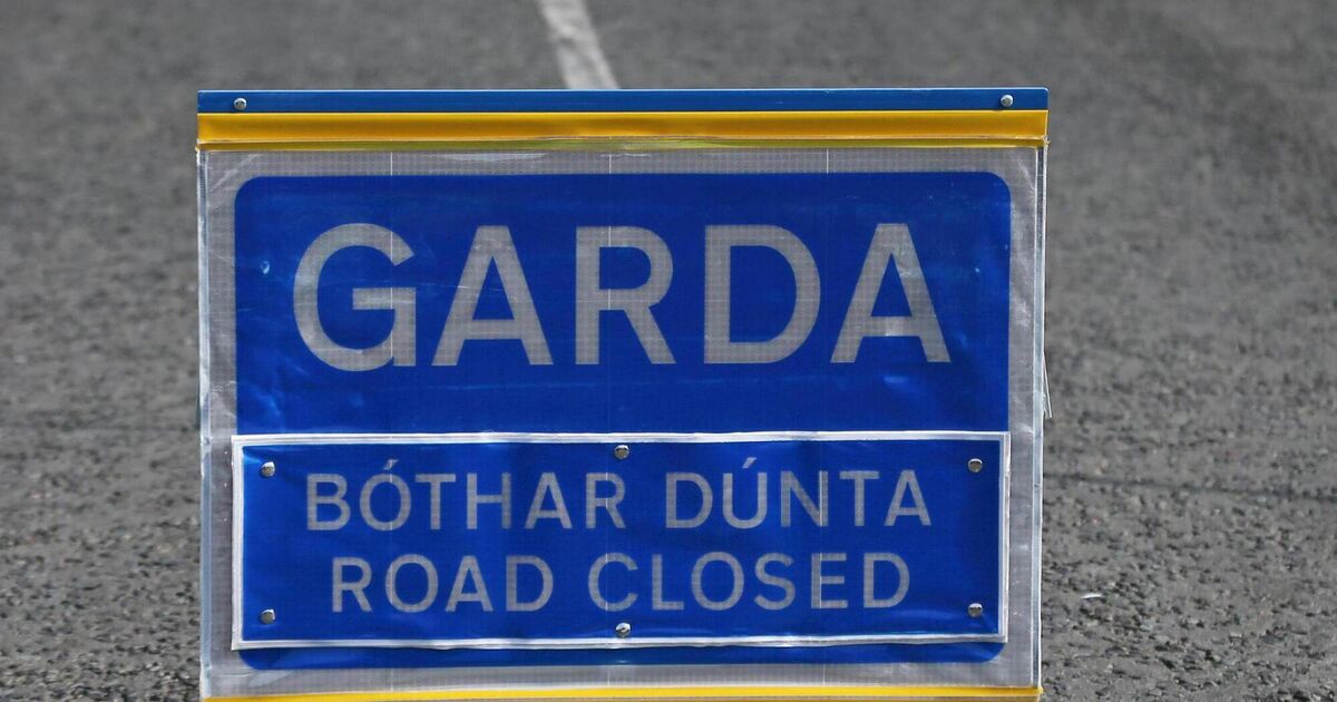 Woman aged in her 90s dies in Co Cork crash