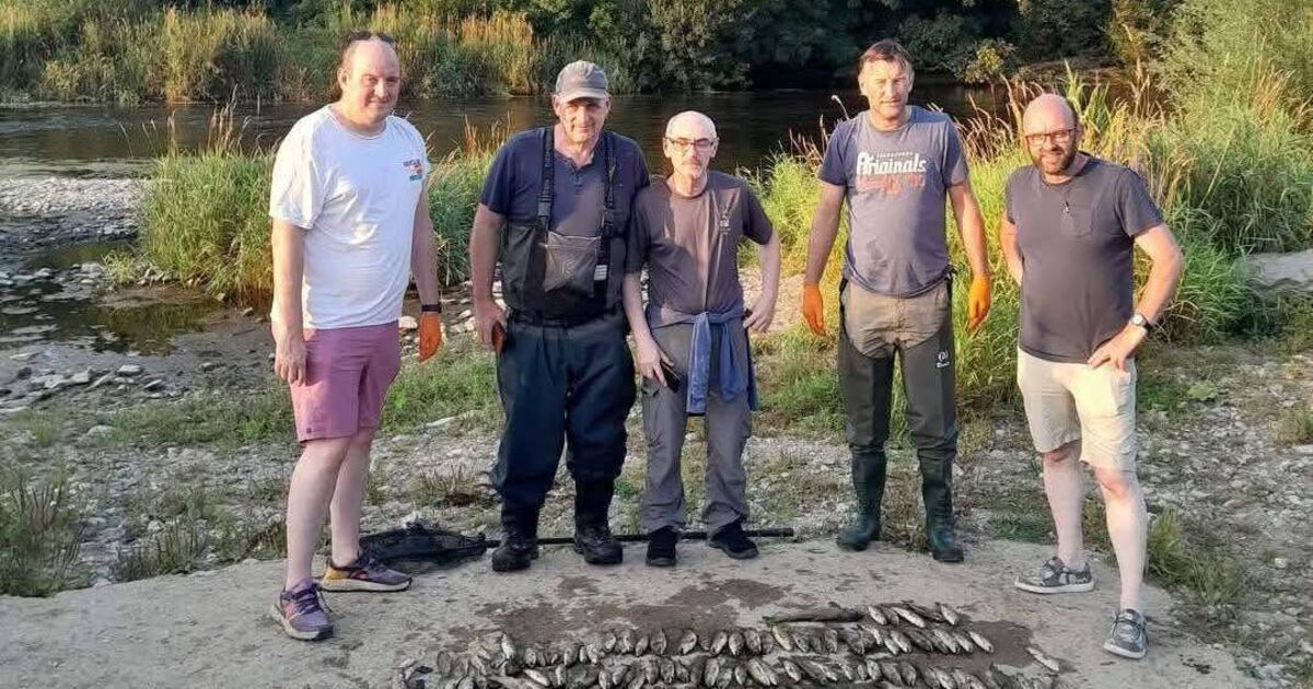 Compensation call for anglers after 'devastating' North Cork fish kill