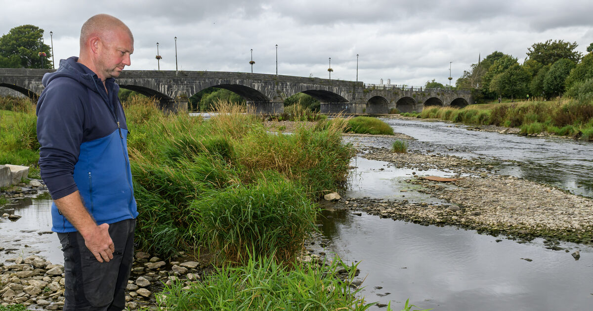 Chemical spill suspected to be cause of Cork's River Blackwater fish kill disaster