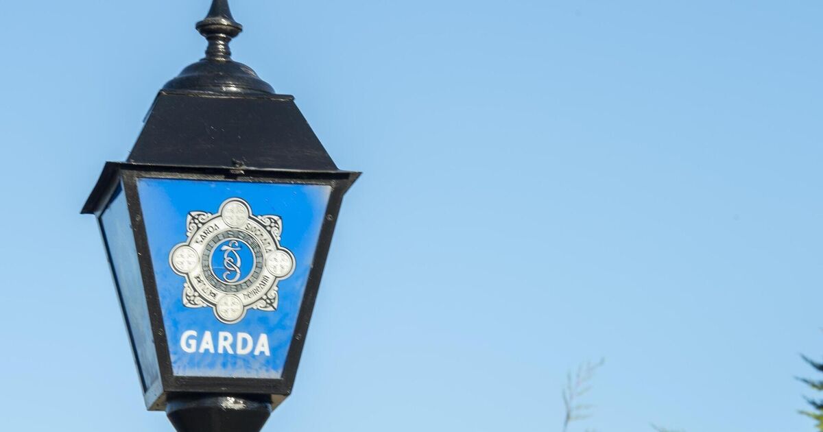Woman, 61, killed in single-vehicle crash in Cork named locally 