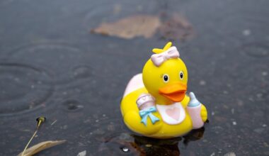 Met Éireann issues rain warning as six counties face 'significant rainfall' 