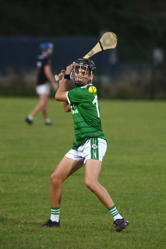  Bobby Power was outstanding against Ballinora. Picture: Larry Cummins