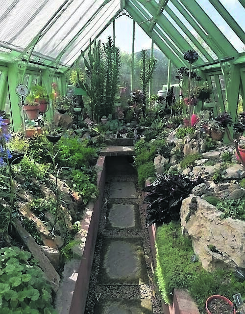 The inside of the glasshouse there