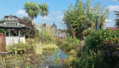 A garden alpine paradise right on our doorstep