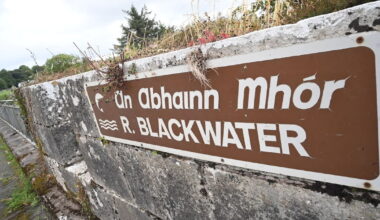 Anglers outraged as fresh pollution hits Cork’s River Blackwater after 50,000 fish killed