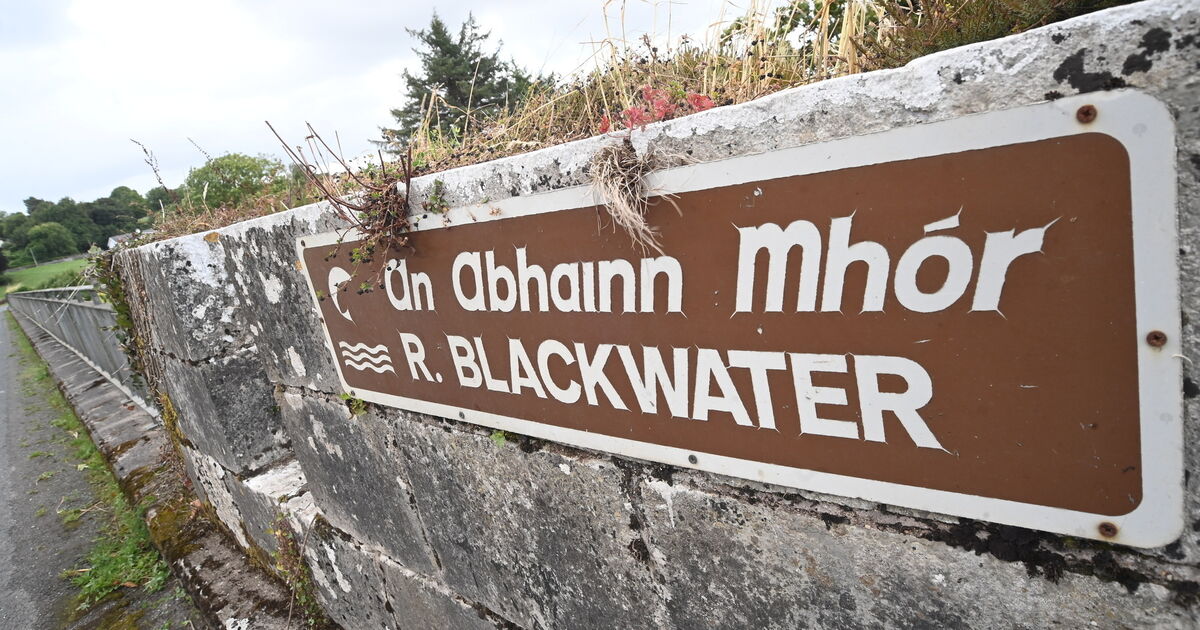 Anglers outraged as fresh pollution hits Cork’s River Blackwater after 50,000 fish killed
