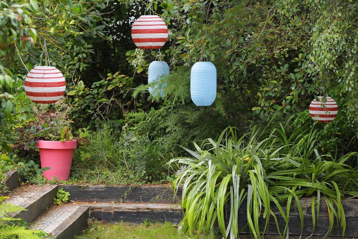 Colour in the garden. Colour in the garden.