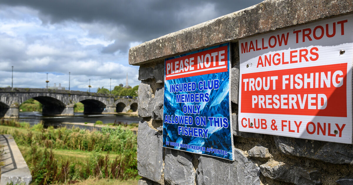 North Cork Creameries adamant it is not to blame for Cork's  Blackwater fish kill