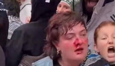 Irish protestor hospitalised after being punched by police in Berlin