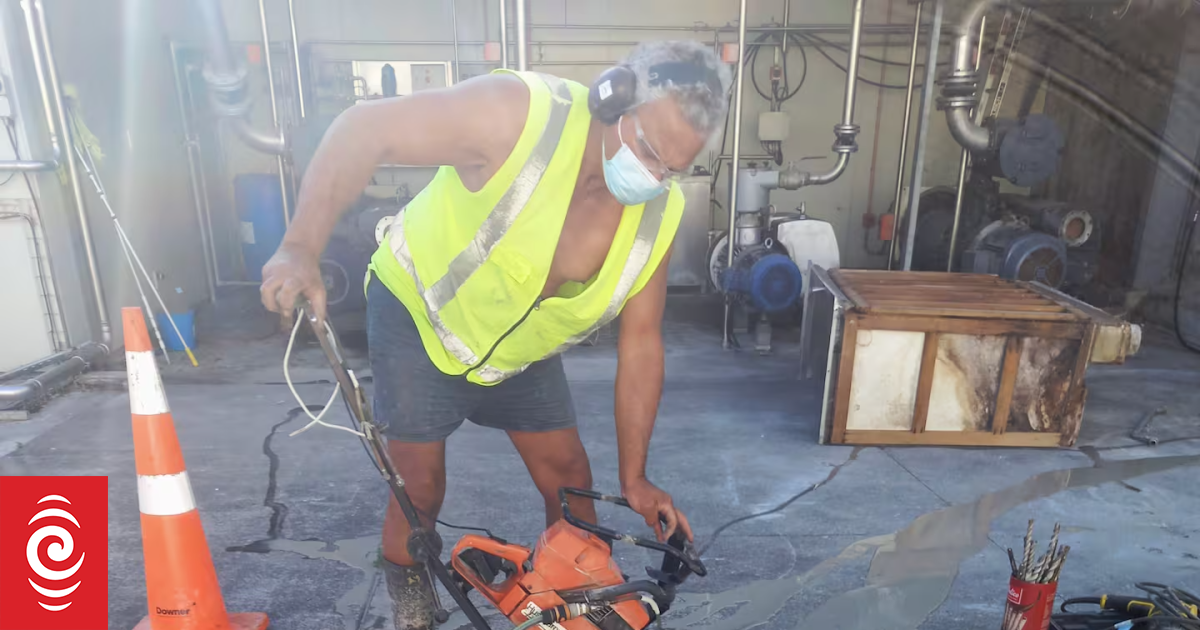 Warrior NZ construction boss John Gemmell hauled before the Employment Relations Authority again