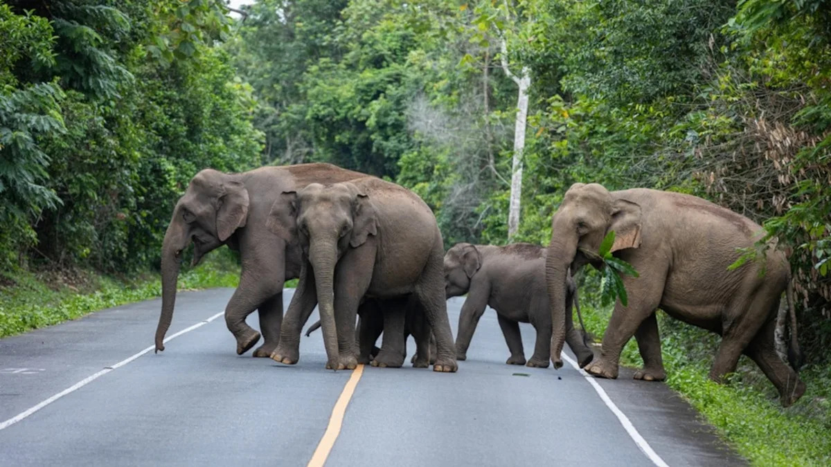 Yahoo lifestyle home