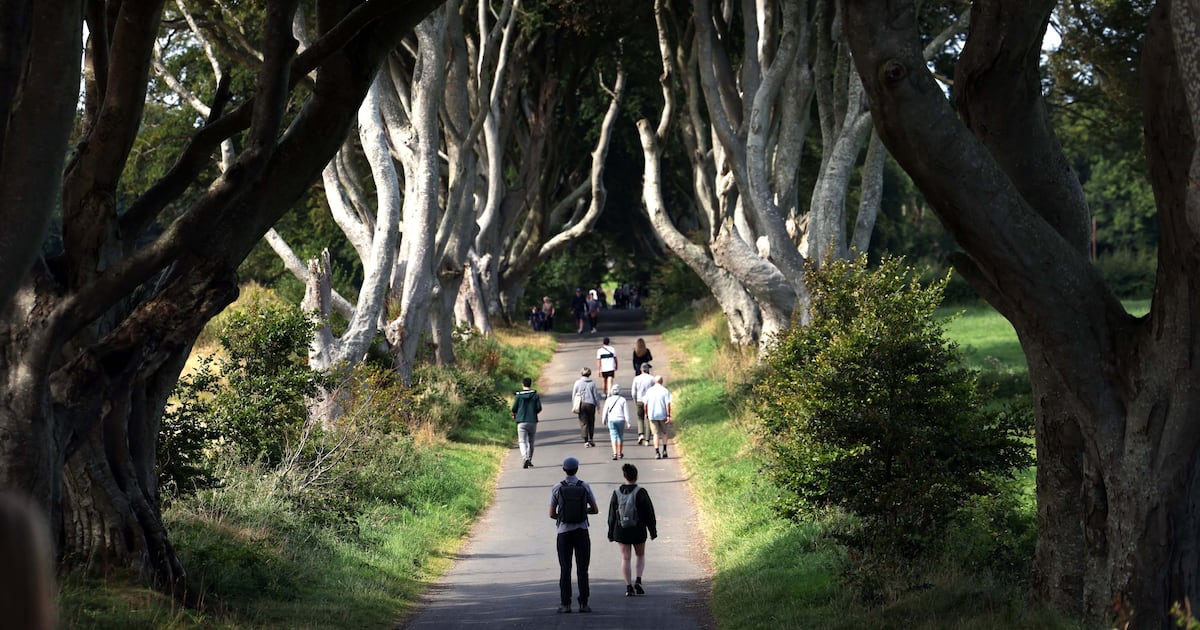 The Dark Hedges, made famous by Game of Thrones, are dying – The Irish Times