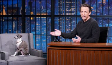 Andy Samberg Claims He Didn’t Kill Seth Meyers’s Dog Frisbee