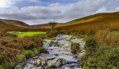 Changing the conversation on Ireland’s Natura 2000 sites – The Irish Times