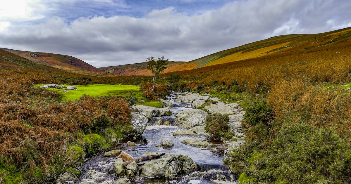 Changing the conversation on Ireland’s Natura 2000 sites – The Irish Times