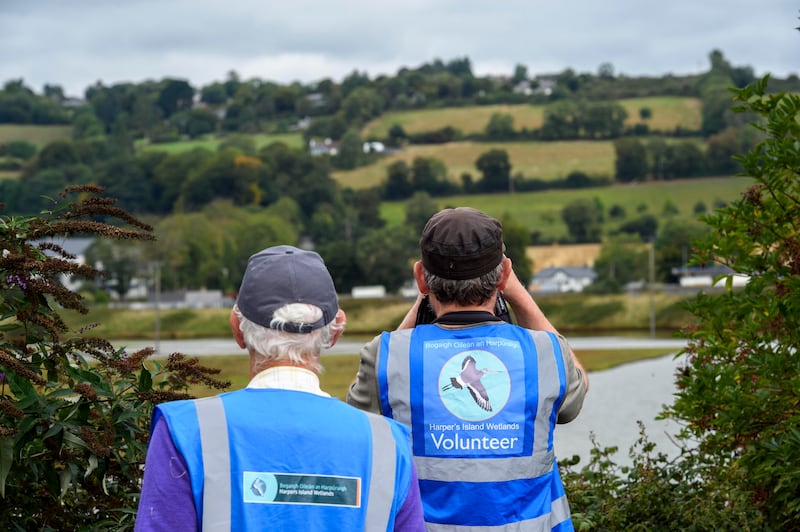 Volunteers on the lookout for birdlife on Harper's Island, Cork Harbour, Co Cork. Photograph: Daragh Mc Sweeney/Provision