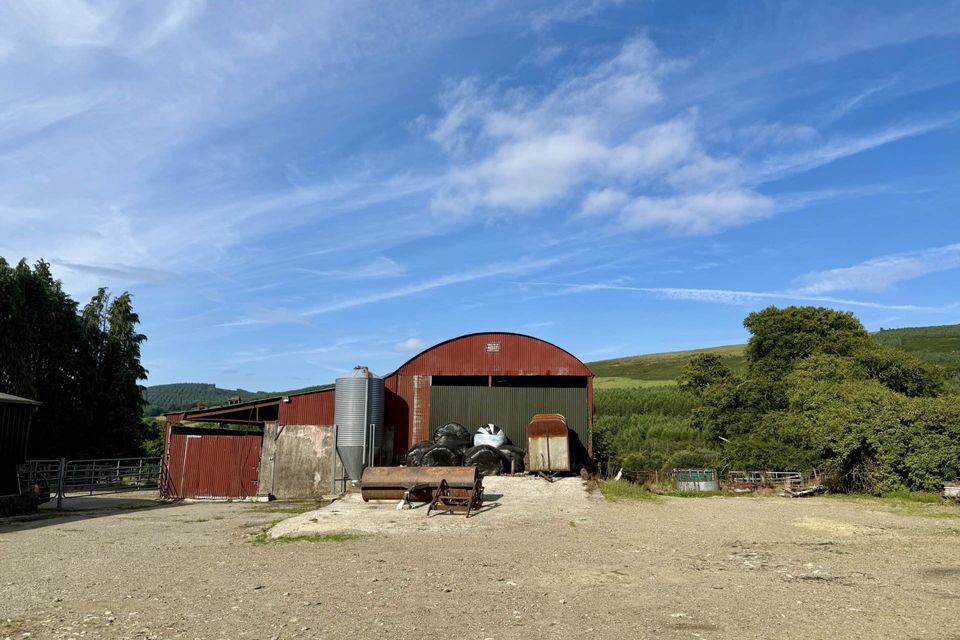 A farmhouse and land in Ballyrory, Gorey will go for sale by auction.