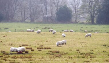 The project will provide understanding of how genetics can support both farms and the environment