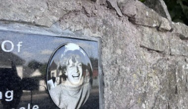 Plaque unveiled for victim of Limerick hit-and-run