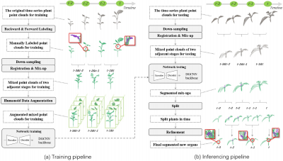AI-powered 3D framework detects tiny new plant organs for real-time growth monitoring