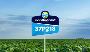 Confluence Genetics Ultra-High Protein Low Oligosaccharide Soybeans Demonstrate Superior Performance in a Large-Scale Turkey Feeding Trial | National