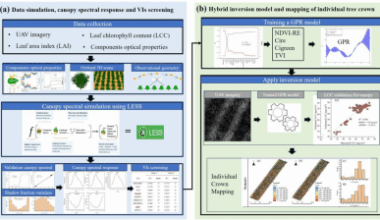 UAV imaging and AI model overcome canopy shadow challenge in apple orchards