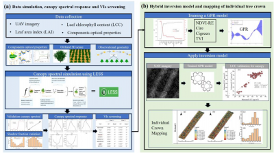UAV imaging and AI model overcome canopy shadow challenge in apple orchards