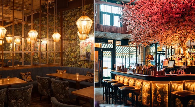 The interior of House Belfast's ground floor bar and restaurant on Botanic Avenue.