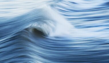 Headed to $190K on Institutional Wave, Research Firm Says