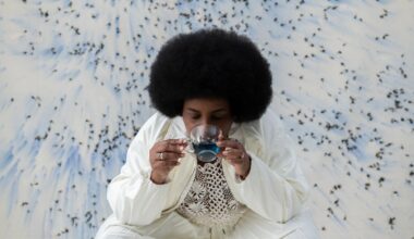 Pinacoteca de São Paulo and Chanel Culture Fund launch new residency for women artists - The Art Newspaper