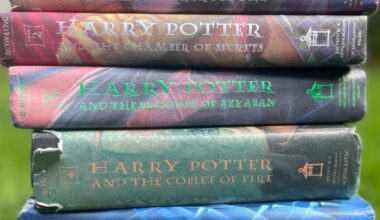 Books like 'Harry Potter' for fantasy readers young and old