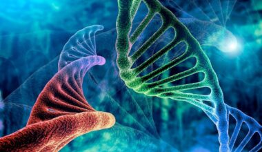 Rheumatoid Arthritis Associated With Increased Risk of IPF