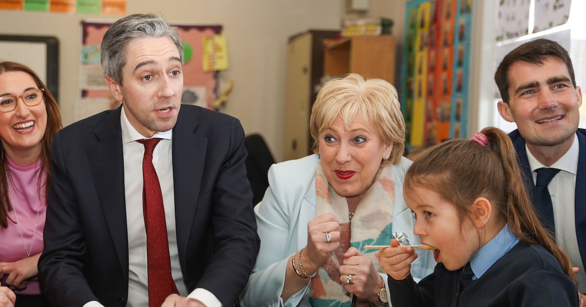 Some primary schools lose hot meals amid issues of procurement and food safety – The Irish Times