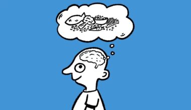 What Are the Best Foods for a Healthy Brain?