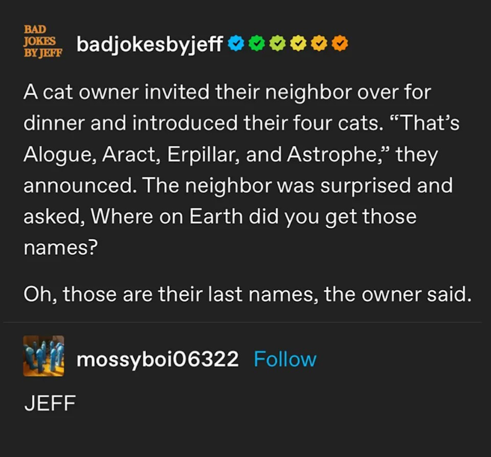 A joke about a cat owner naming their pets: Alogue, Aract, Erpillar, and Astrophe, revealing these are their last names. Commenter simply says "JEFF"