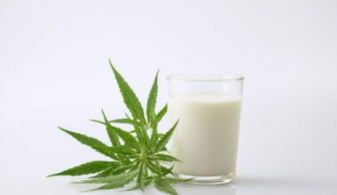 OSU Study Measures Cannabinoid Levels in Cows Fed Spent Hemp Biomass