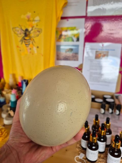 The Ostrich egg was turned by hand 10 times a day for 40 days in order to hatch Kerry's newest resident.