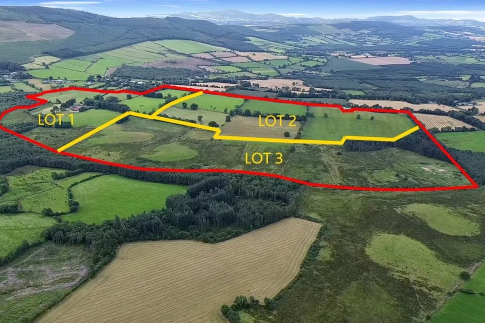 A farmhouse and land in Ballyrory, Gorey will go for sale by auction.