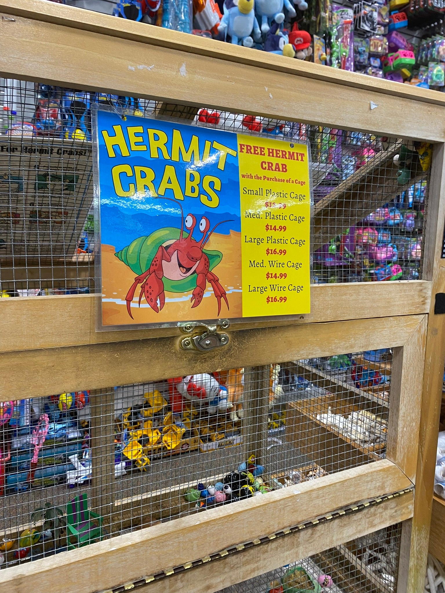 A mesh cage packed full of hermit crabs with painted shells.