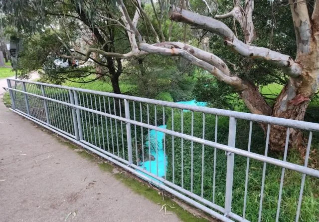 Photo Credit: Reddit