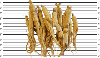 Alkemist Labs Releases “Herbs & Fungi We’re Watching” list