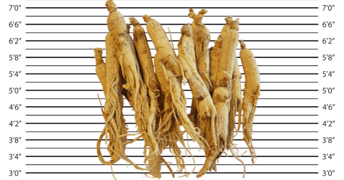 Alkemist Labs Releases “Herbs & Fungi We’re Watching” list