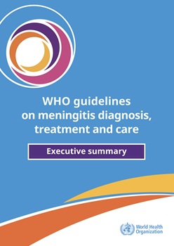 WHO guidelines on meningitis diagnosis, treatment and care: executive summary