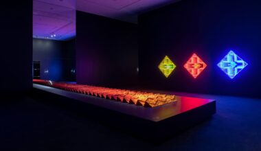 Toi Tū Toi Ora reframed: Doco reveals Auckland Art Gallery politics of landmark Māori exhibition