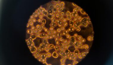 New microscope tech could give the deepest looks yet into living brain tissue