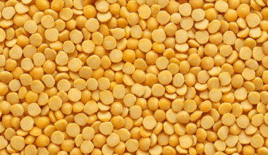 90 Grams Of Fiber A Day?